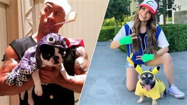 10 Celebrities Who Spend Thousands Spoiling Their Pets