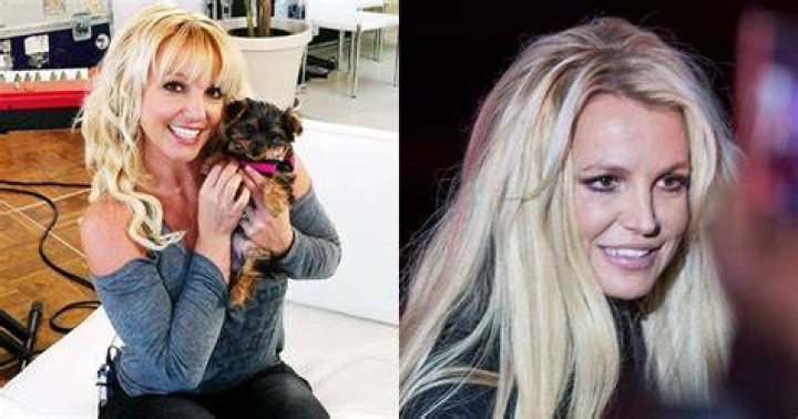 10 Ridiculously Expensive Things That Britney Spears Bought