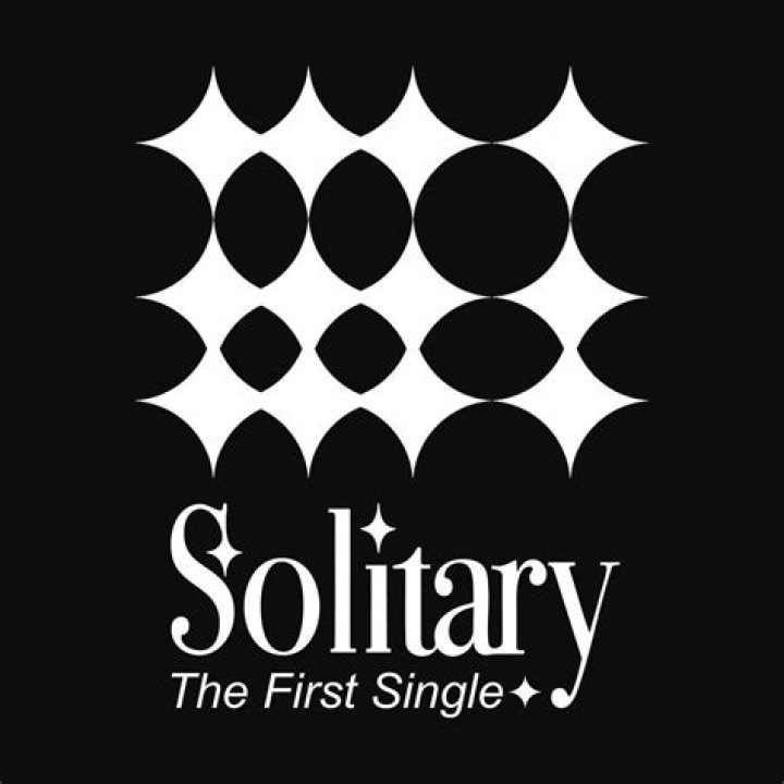A Cover Image Of Solitary Man
