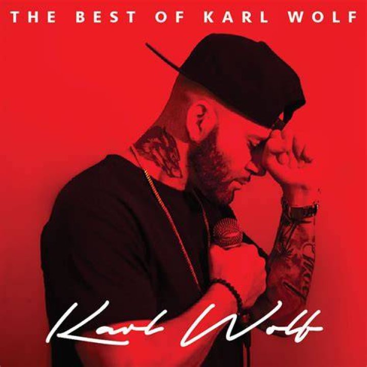 Karl Wolf Net Worth | TheRichest