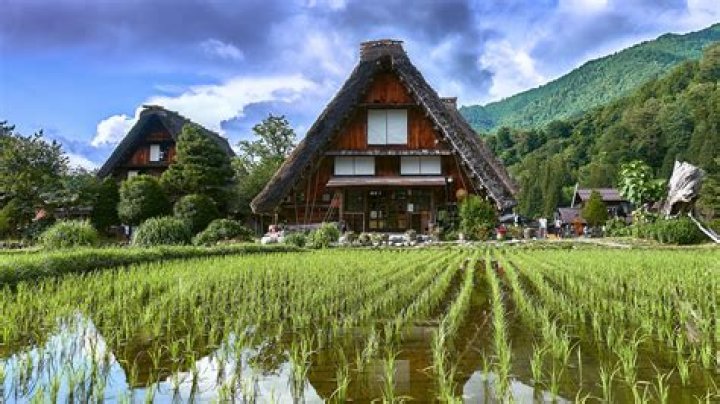 The Village